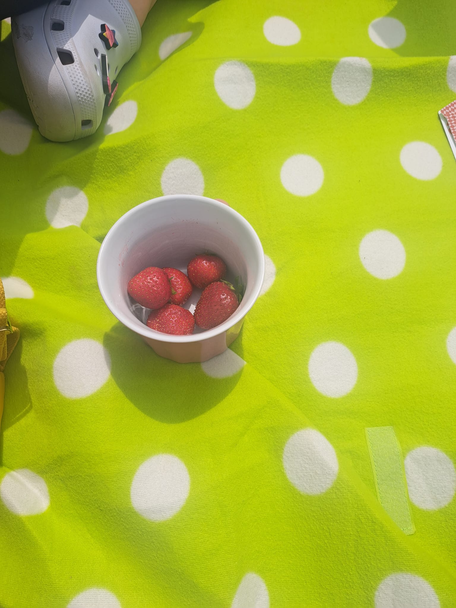 Śniadanie na tartanie