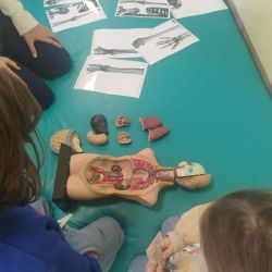 584383957 712758761885222 n
