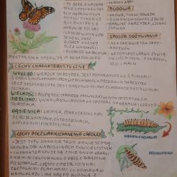 bezkregowcemalyatlas