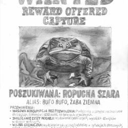 wanted